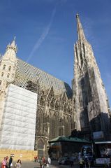 DSC00408_800.jpg