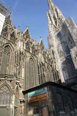 DSC00414_800.jpg