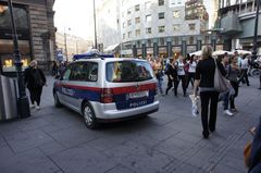 DSC00427_800.jpg