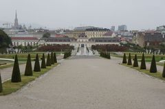 DSC00469_800.jpg