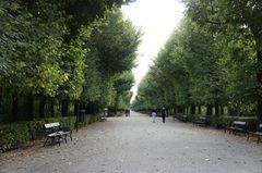 DSC00507_800.jpg