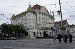 DSC00551_800.jpg