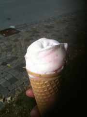 IMG_0252_640.jpg
