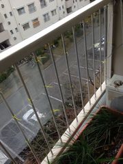 IMG_0352_800.jpg