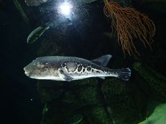 P7190846_640.jpg